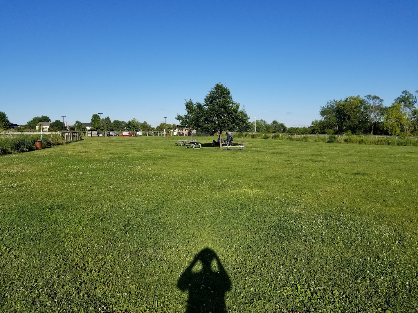 Dog Park at Hoffman Park