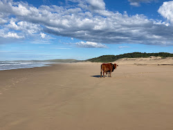 Bashee beach'in fotoğrafı kirli temizlik seviyesi ile