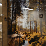 Photo n°1 de l'avis de Denny.c fait le 20/02/2022 à 15:58 sur le  Berg und Tal Hotel & Apartments Braunlage à Braunlage