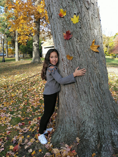 Park «Wood Park», reviews and photos, 65 Park St, Hudson, MA 01749, USA