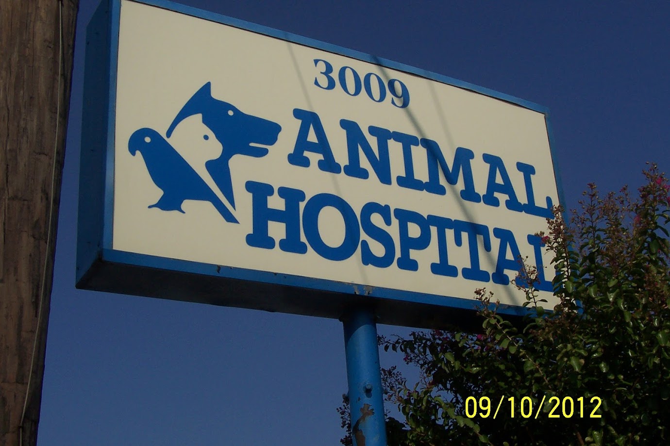 Animal Hospital & Clinic of Arlington