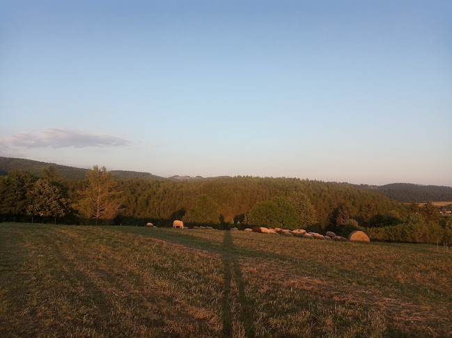 Horná Lehota 231, 976 81 Horná Lehota