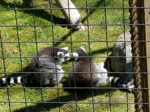 Auto Parts Store «Advance Auto Parts», reviews and photos, 1001 E Black Horse Pike, Pleasantville, NJ 08232, USA