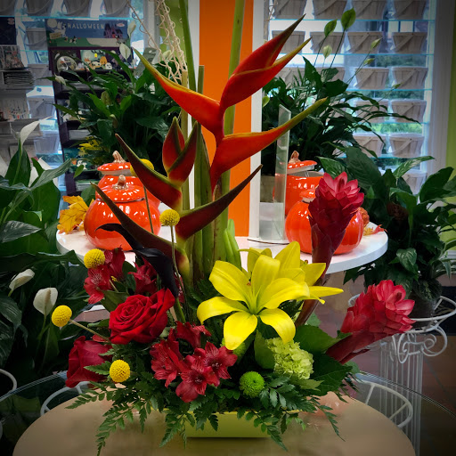 Florist «Seminole Florist», reviews and photos, 8613 Seminole Blvd, Seminole, FL 33772, USA