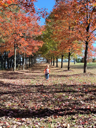 Home Improvement Store «The Home Depot», reviews and photos, 649 Carl-Bethlehem Rd, Winder, GA 30680, USA