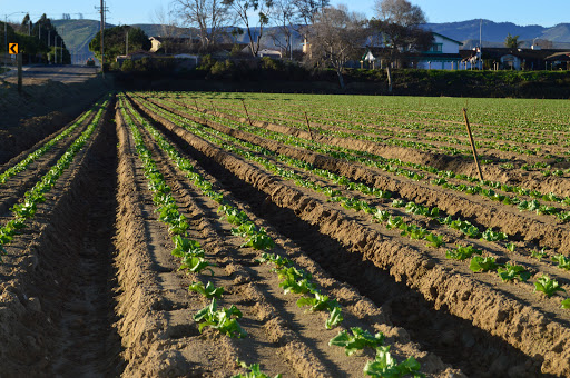 Fertilizer supplier Costa Mesa