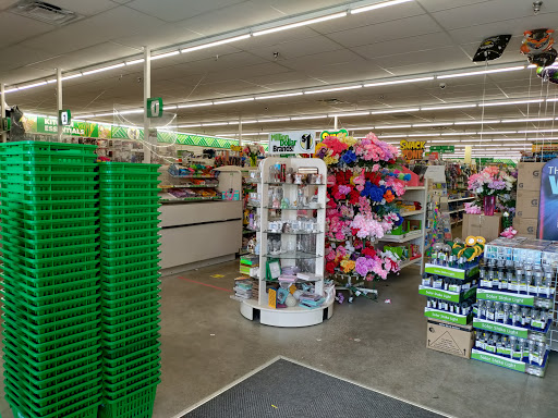Dollar Store «Dollar Tree», reviews and photos, 871 S Main St, Lapeer, MI 48446, USA