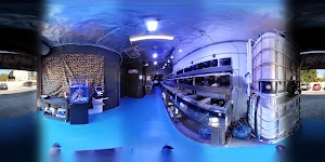 North County Tropical Fish Store - Reefers Garge - photo 6