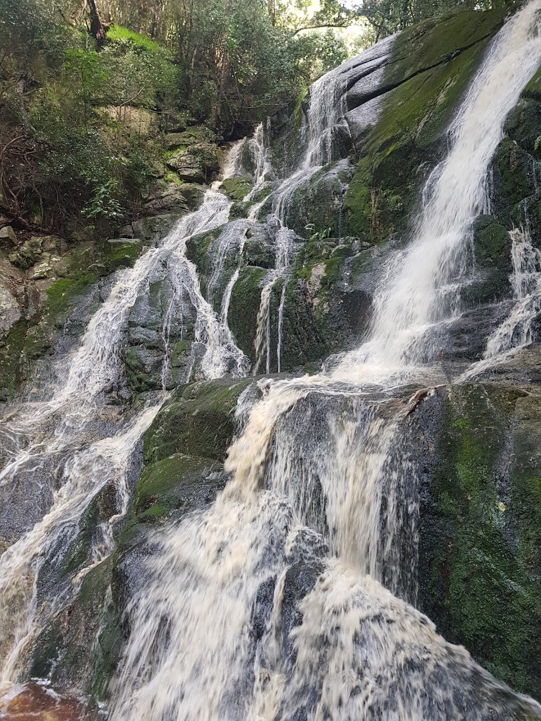 Skeleton gorge Waterfall