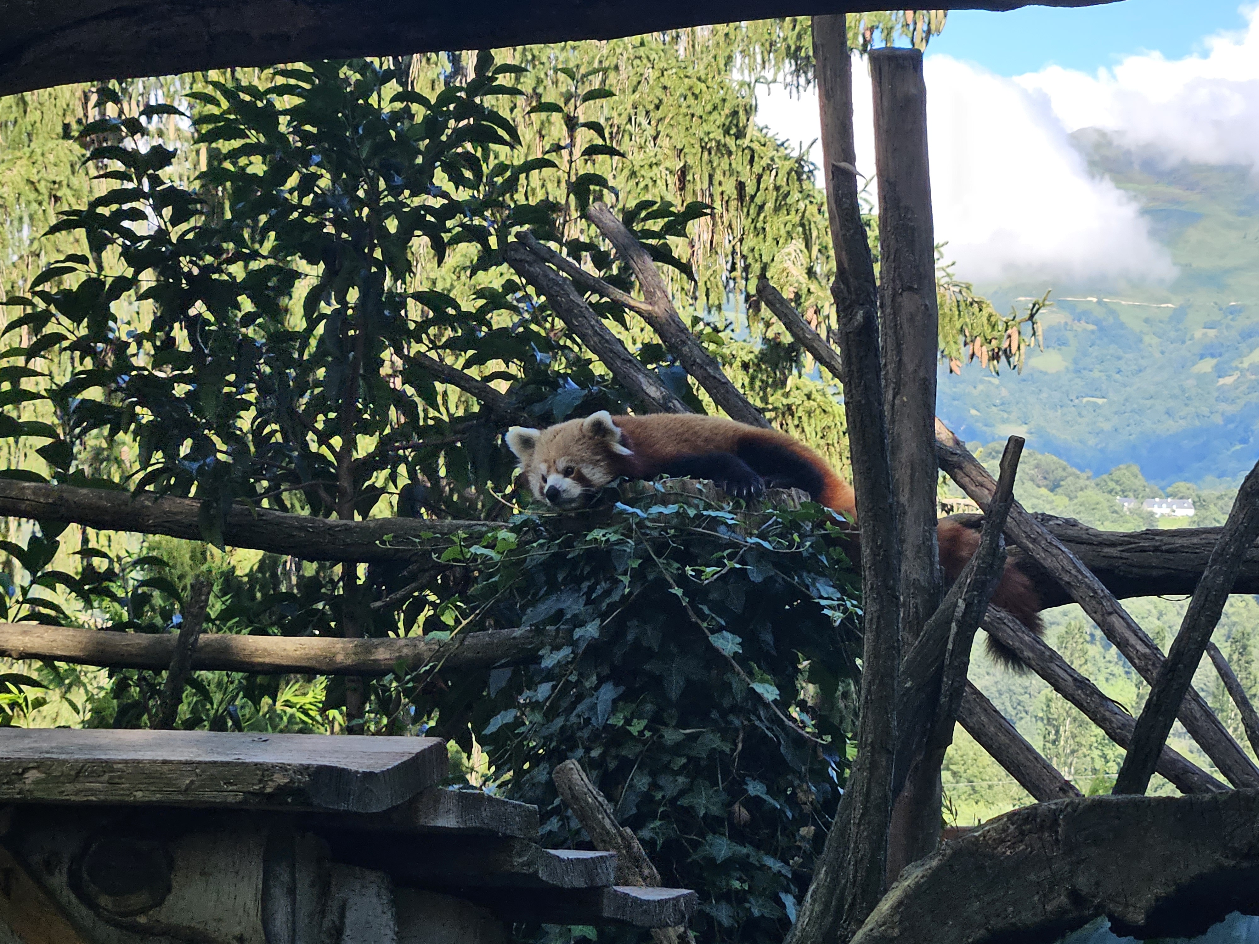 Photo n° 1 de l'avis de Christian.o fait le 01/08/2023 à 19:28