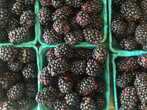 Organic Food Store «Berkeley Natural Grocery Company», reviews and photos, 1336 Gilman St, Albany, CA 94706, USA