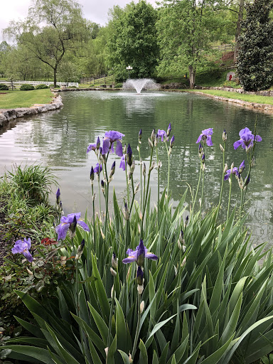 Event Venue «Thomas Farm Weddings and Events», reviews and photos, 519 Tranbarger Rd, Church Hill, TN 37642, USA