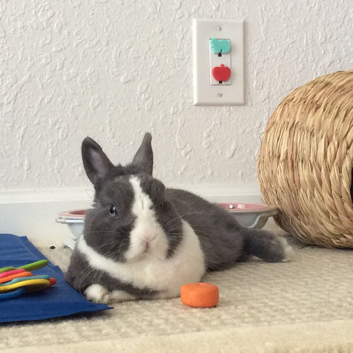 Pet Supply Store «Concord Feed Pet & Livestock Supplies», reviews and photos, 228 Hookston Rd, Pleasant Hill, CA 94523, USA