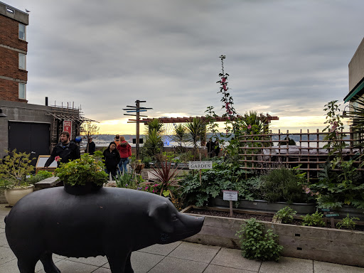 Pike Place Urban Garden