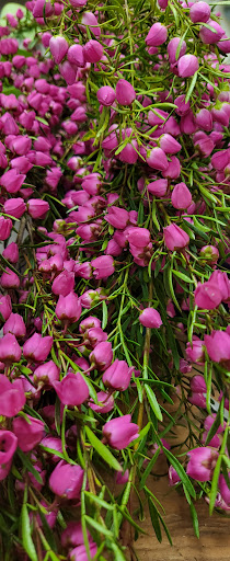 Florist «Tommy Austin Florist», reviews and photos, 10730 E Foothill Blvd, Rancho Cucamonga, CA 91730, USA