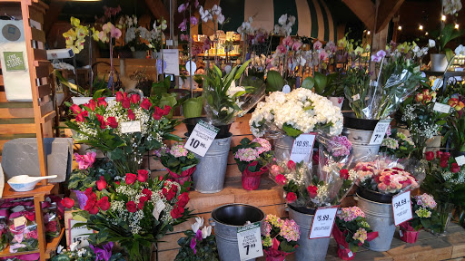 Grocery Store «The Fresh Market», reviews and photos, 25961 US Hwy 19 N, Clearwater, FL 33763, USA