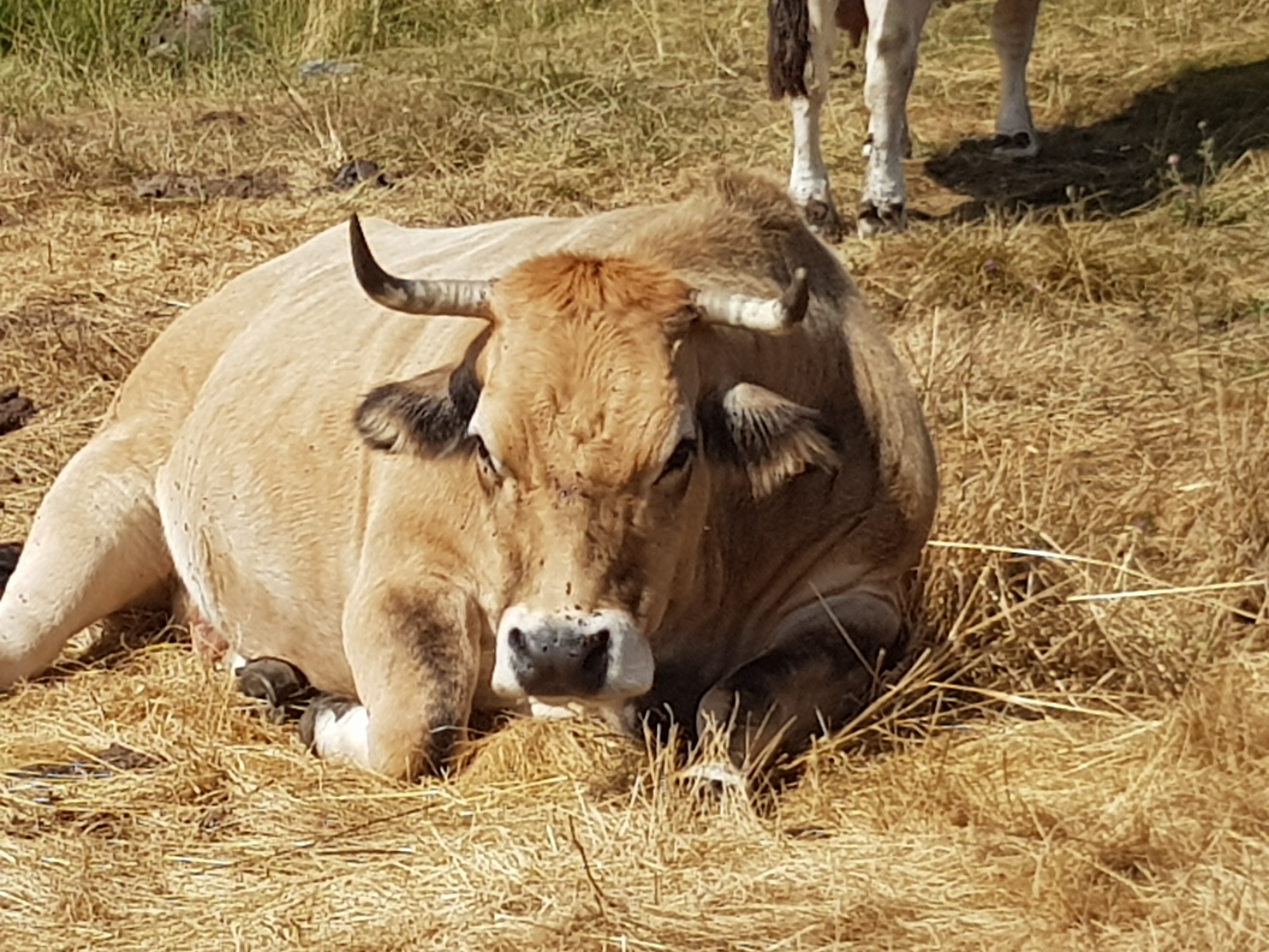 Photo n° 2 de l'avis de Dany.u fait le 25/08/2020 à 15:46