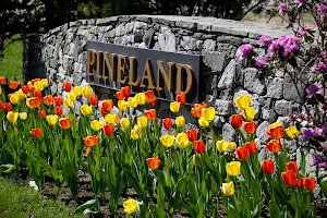 Pineland Farms image