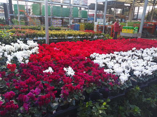 Home Improvement Store «The Home Depot», reviews and photos, 7121 Firestone Blvd, Downey, CA 90241, USA