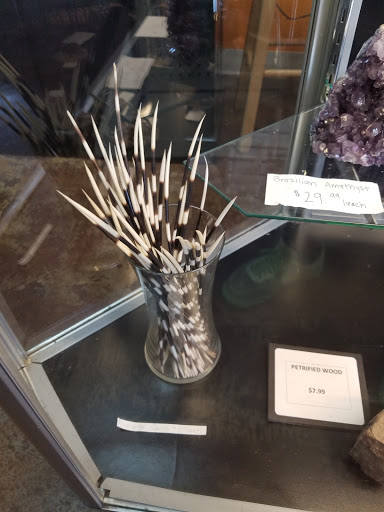 Pet Store «Wildside Pets», reviews and photos, 1042 N Higley Rd #105, Mesa, AZ 85205, USA