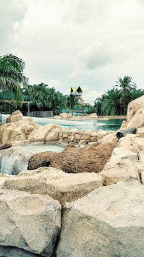 Water Park «Aquatica», reviews and photos, 5800 Water Play Way, Orlando, FL 32821, USA
