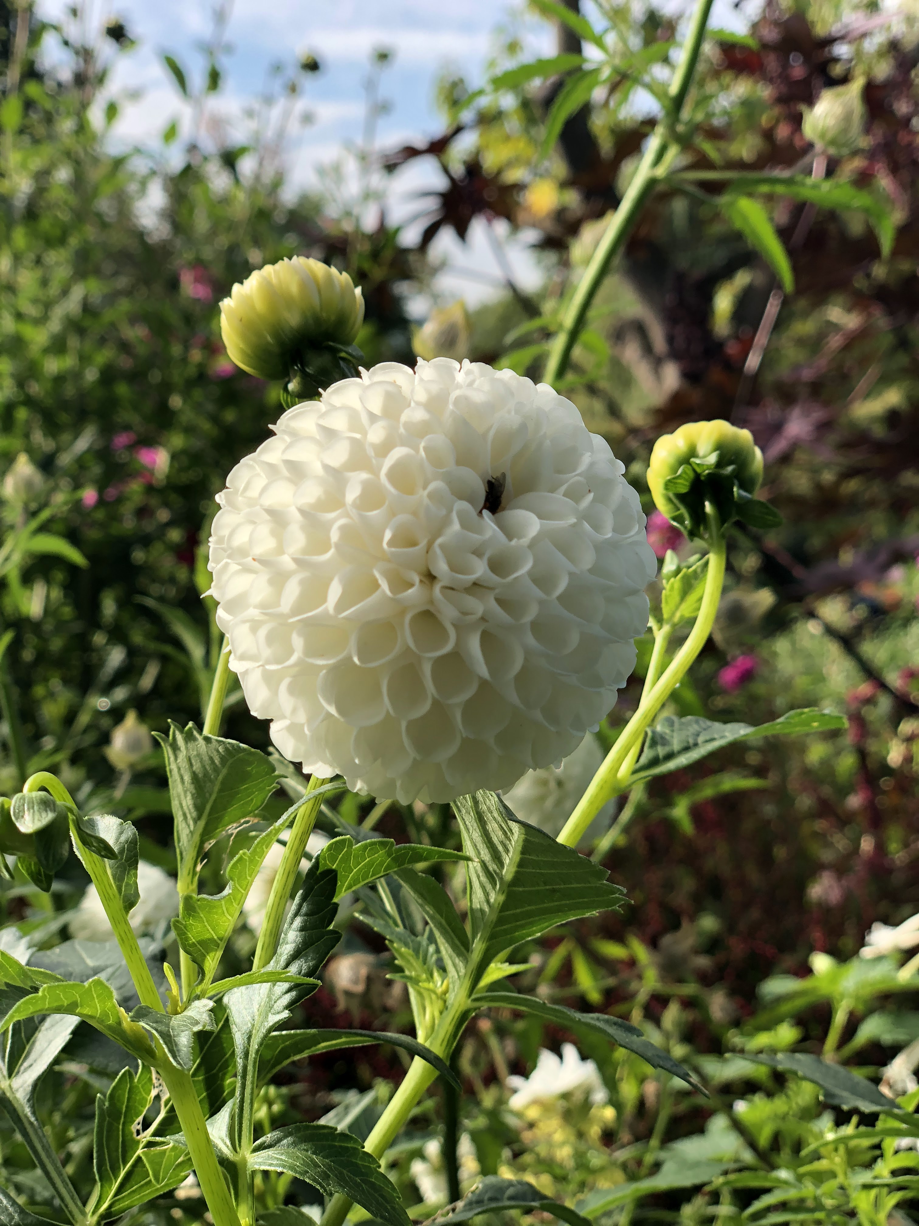 Photo n° 11 de l'avis de Igor.a fait le 25/10/2018 à 12:29