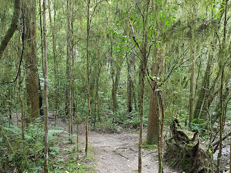Eves Valley Scenic Reserve
