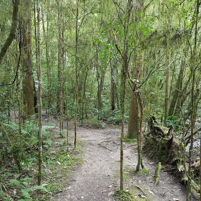 Eves Valley Scenic Reserve