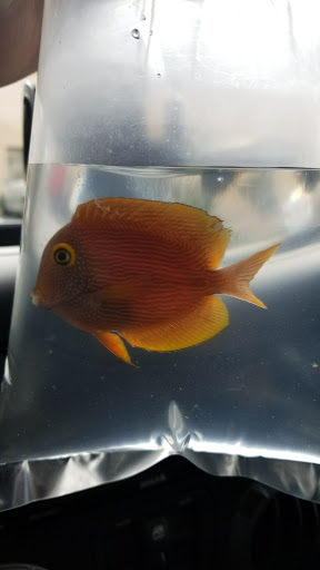 Pet Supply Store «New Wave Aquaria», reviews and photos, 14100 23rd Ave N, Minneapolis, MN 55447, USA