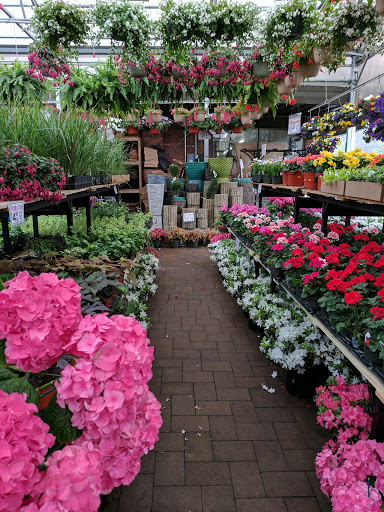 Florist «Metropolitan Plant and Flower Exchange», reviews and photos, 471 NJ-10, West Orange, NJ 07052, USA