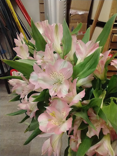 Florist «Grace Harper Florist, Inc.», reviews and photos, 4135 Woodward Ave, Detroit, MI 48201, USA