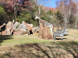 North Carolina Zoo