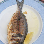 Photo n°2 de l'avis de Lorenzo.i fait le 01/06/2020 à 15:32 sur le  Ristorante Bar “Demos” à Piombino