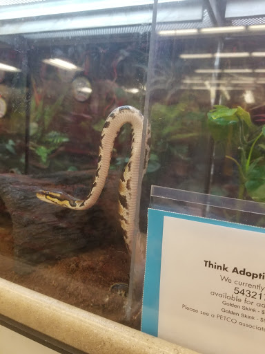 Pet Supply Store «Petco Animal Supplies», reviews and photos, 3380 124th Ave NW, Coon Rapids, MN 55433, USA