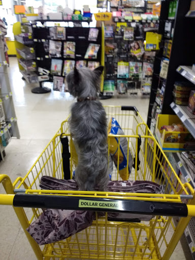 Discount Store «Dollar General», reviews and photos, 3226 Watson Blvd, Endwell, NY 13760, USA