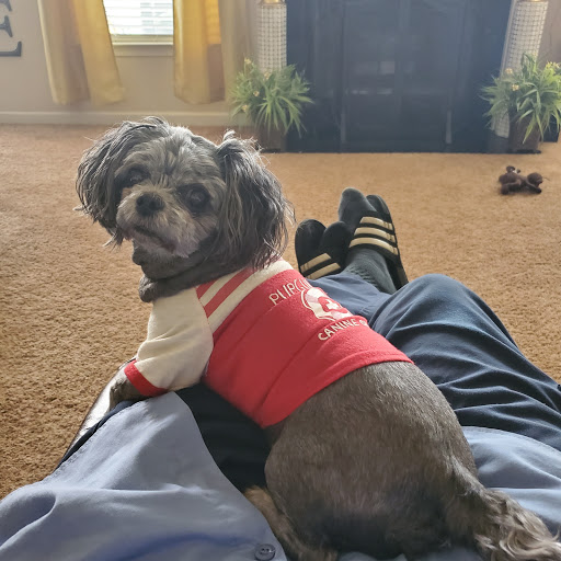 Outpatient Vet Clinic image