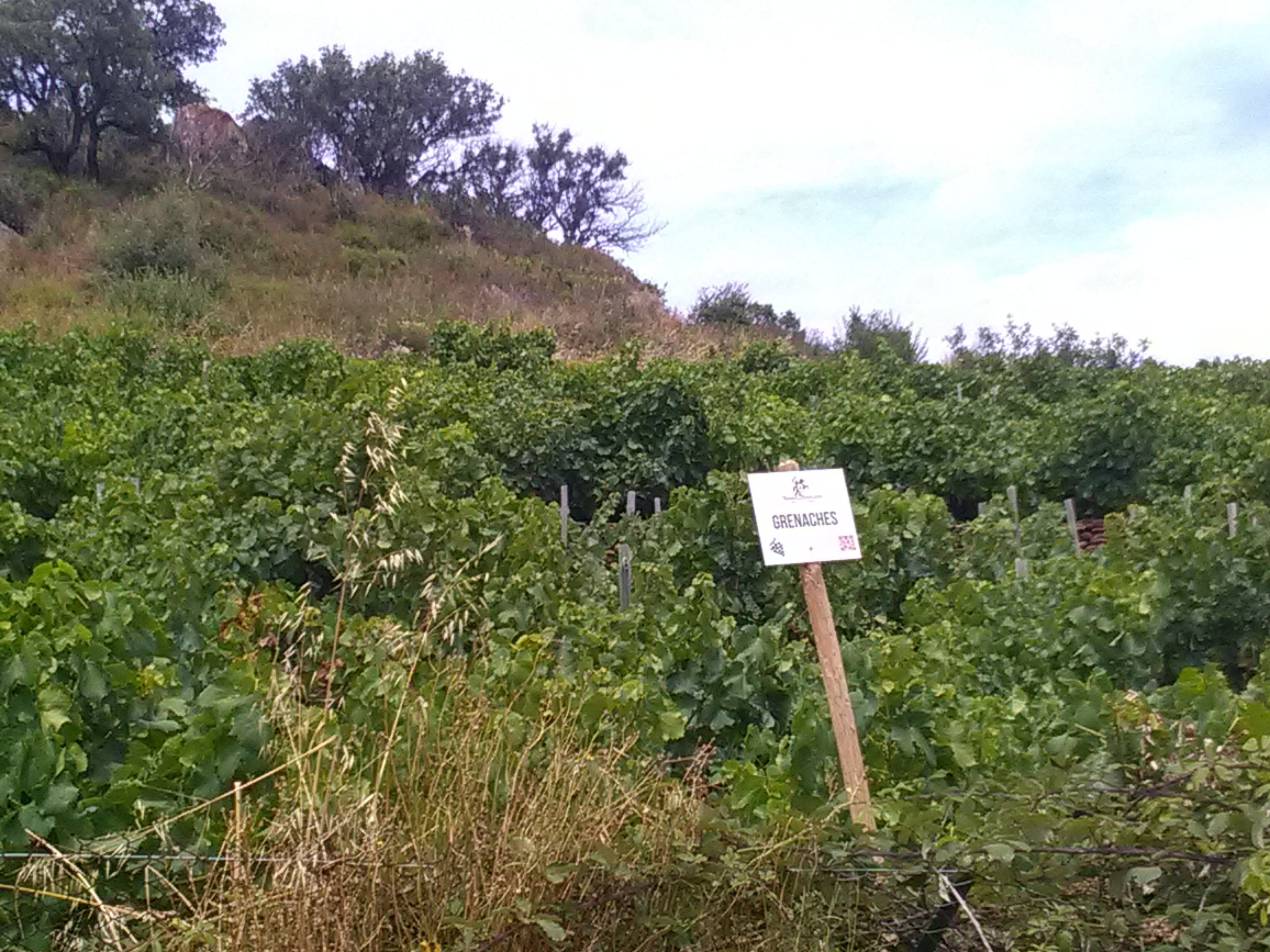 Photo n° 2 de l'avis de benoit.a fait le 16/07/2018 à 14:50