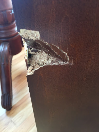 Moving Company «Olympia Moving & Storage», reviews and photos, 4901 Main St, Skokie, IL 60077, USA