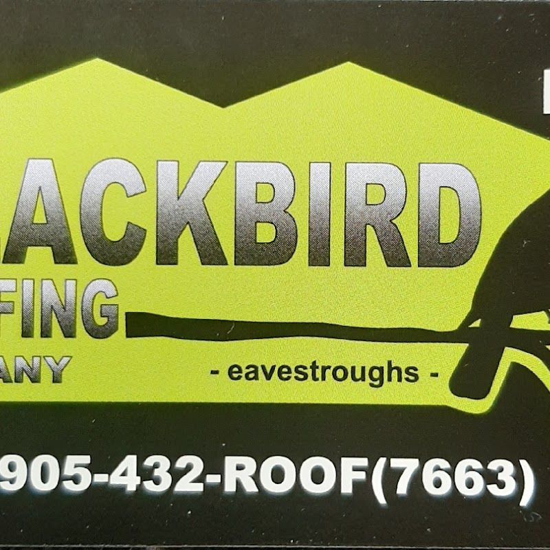 Blackbird Roofing