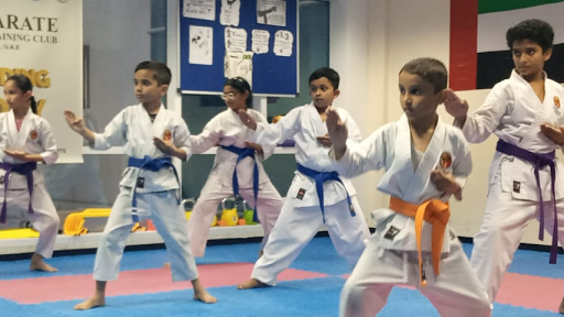 Elite Karate Martial Arts Training Club