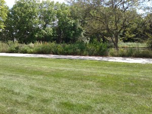 Blackberry Farm - photo 72