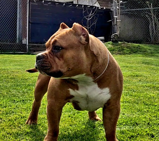 Home Improvement Store «Brookdale Lumber True Value Hardware», reviews and photos, 13602 Pacific Ave S, Tacoma, WA 98444, USA