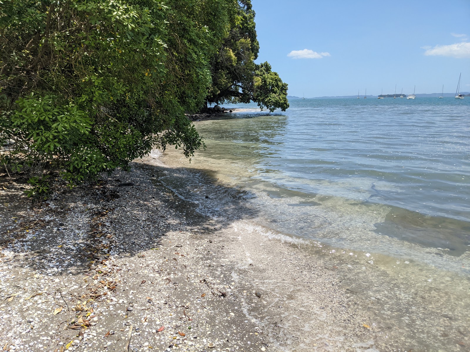 Foto von Shelly Park Beach befindet sich in natürlicher umgebung