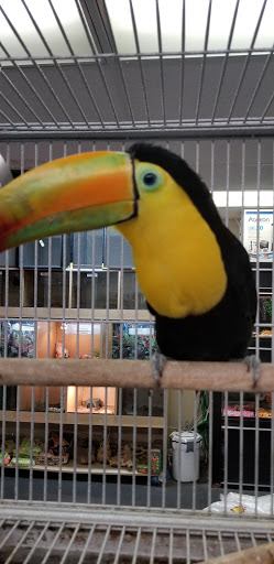 Pet Supply Store «Melis Granero Pet Shop Feed&Supply», reviews and photos, 224 E Foothill Blvd, Rialto, CA 92376, USA