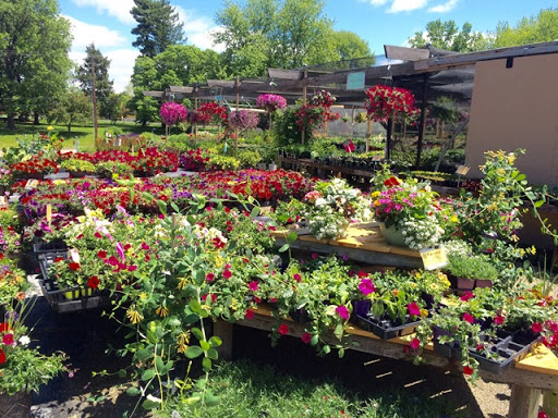 Florist «Parkview Gardens Florist & Greenhouse», reviews and photos, 1925 W Randolph St, St Charles, MO 63301, USA