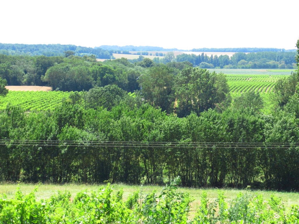 Photo n° 2 de l'avis de Pedro.e fait le 05/08/2019 à 14:02