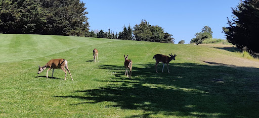 Golf Course «Crystal Springs Golf Course», reviews and photos, 6650 Golf Course Dr, Burlingame, CA 94010, USA