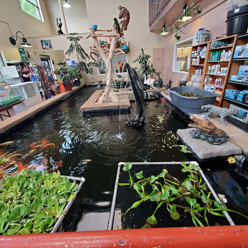 Pet Store «Pet Paradise Grooming», reviews and photos, 1115 Pueblo Blvd Way, Pueblo, CO 81005, USA