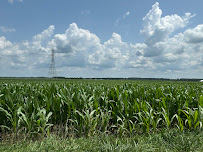 Colten Yager- Farmland Appraiser and Real Estate Agent - Photo 2 - Car repair in , Kalamazoo