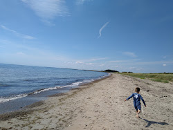 Bredfjed Beach'in fotoğrafı imkanlar alanı